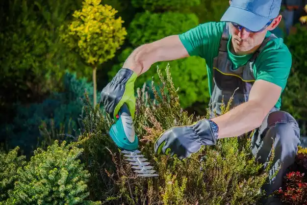landscaping services Sidon
